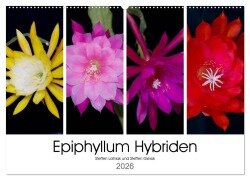 Epiphyllum-Hybriden (Wandkalender 2026 DIN A2 quer), CALVENDO Monatskalender - Steffen Latniak Gierok
