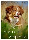 Australian Shepherds (Tischkalender 2024 DIN A5 hoch), CALVENDO Monatskalender - Nicole Noack