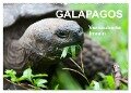 Galapagos. Verzauberte Inseln (Wandkalender 2024 DIN A2 quer), CALVENDO Monatskalender - Sabine Reuke