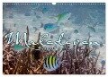 Unterwasserwelt der Malediven III (Wandkalender 2024 DIN A3 quer), CALVENDO Monatskalender - Clave Rodriguez Photography