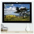 AFRIKA im Süden (hochwertiger Premium Wandkalender 2024 DIN A2 quer), Kunstdruck in Hochglanz - Richard Walliser