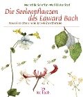 Die Seelenpflanzen des Edward Bach - Mechthild Scheffer, Wolf-Dieter Storl