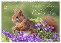Besondere Augenblicke mit Eichhörnchen (Wandkalender 2024 DIN A2 quer), CALVENDO Monatskalender - Tine Meier