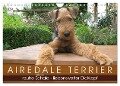Airedale Terrier (Wandkalender 2024 DIN A4 quer), CALVENDO Monatskalender - Gaby Rottmann