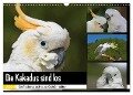 Die Kakadus sind los (Wandkalender 2024 DIN A3 quer), CALVENDO Monatskalender - Antje Lindert-Rottke