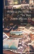 Cover-Bild zum Titel 'Forest Pictures In The Adirondacks' von 'Alfred Billings Street'