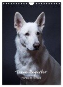 Treue Wegbegleiter, Hunde im Portrait. (Wandkalender 2026 DIN A4 hoch), CALVENDO Monatskalender - Susanne Stark