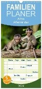 Familienplaner 2024 - Affen - Affenkinder mit 5 Spalten (Wandkalender, 21 x 45 cm) CALVENDO - Peter Roder