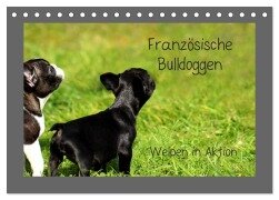 Französische Bulldoggen (Tischkalender 2025 DIN A5 quer), CALVENDO Monatskalender - Heike Hultsch