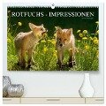Rotfuchs - Impressionen (hochwertiger Premium Wandkalender 2024 DIN A2 quer), Kunstdruck in Hochglanz - Susanne Danegger
