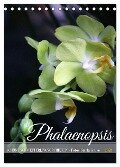 Phalaenopsis - Schöne Schmetterlingsorchideen (Tischkalender 2024 DIN A5 hoch), CALVENDO Monatskalender - Gisela Kruse