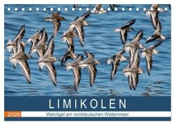 Limikolen - Watvögel am norddeutschen Wattenmeer (Tischkalender 2026 DIN A5 quer), CALVENDO Monatskalender - Arne Wünsche