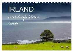 IRLAND - Insel der glücklichen Schafe (Wandkalender 2025 DIN A3 quer), CALVENDO Monatskalender - Ferry Böhme