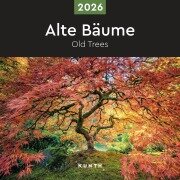 Cover-Bild zum Titel 'Alte Bäume - KUNTH Broschurkalender 2026' von ''