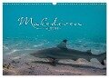Unterwasserwelt der Malediven I (Wandkalender 2024 DIN A3 quer), CALVENDO Monatskalender - Clave Rodriguez Photography