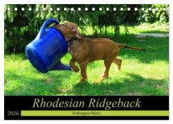Rhodesian Ridgeback - Schnappschüsse - (Tischkalender 2026 DIN A5 quer), CALVENDO Monatskalender - Dagmar Behrens