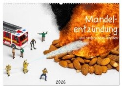 Mandelentzündung ... und andere Mini-Welten (Wandkalender 2026 DIN A2 quer), CALVENDO Monatskalender - Michael Bogumil