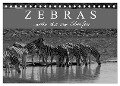 Zebras - Mehr als nur Streifen (Tischkalender 2024 DIN A5 quer), CALVENDO Monatskalender - Markus Pavlowsky Photography