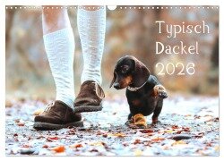 Cover-Bild zum Titel 'Typisch Dackel 2026 (Wandkalender 2026 DIN A3 quer), CALVENDO Monatskalender' von 'Anja Foto Grafia Fotografie'