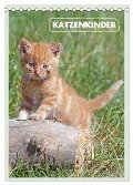Katzenkinder (Tischkalender 2024 DIN A5 hoch), CALVENDO Monatskalender - Barbara Mielewczyk