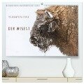 Emotionale Momente: Der Wisent. (hochwertiger Premium Wandkalender 2025 DIN A2 quer), Kunstdruck in Hochglanz - Ingo Gerlach
