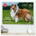 Collie - Mein bester Freund (hochwertiger Premium Wandkalender 2025 DIN A2 quer), Kunstdruck in Hochglanz - Sigrid Starick
