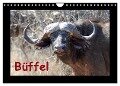 Büffel (Wandkalender 2024 DIN A4 quer), CALVENDO Monatskalender - Britta Ohm