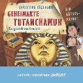 Geheimakte Tutanchamun - Das gestohlene Amulett. Ein Rätselkrimi - Christian Seltmann