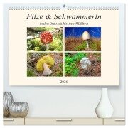 Pilze & Schwammerln (hochwertiger Premium Wandkalender 2026 DIN A2 quer), Kunstdruck in Hochglanz - Christa Kramer