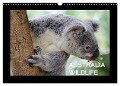 Australia Wildlife (Wandkalender 2024 DIN A3 quer), CALVENDO Monatskalender - Luxscriptura By Wolfgang Schömig