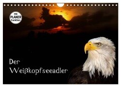 Der Weißkopfseeadler (Wandkalender 2026 DIN A4 quer), CALVENDO Monatskalender - Arno Klatt
