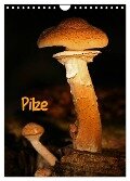 Pilze (Wandkalender 2024 DIN A4 hoch), CALVENDO Monatskalender - Martina Berg
