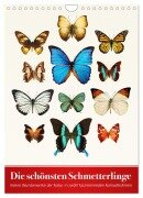 Die schönsten Schmetterlinge (Wandkalender 2025 DIN A4 hoch), CALVENDO Monatskalender - Wildlife Art Print