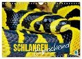 Schlangen: Zupackend (Wandkalender 2025 DIN A4 quer), CALVENDO Monatskalender - Calvendo Calvendo