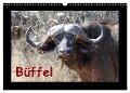 Büffel (Wandkalender 2024 DIN A3 quer), CALVENDO Monatskalender - Britta Ohm