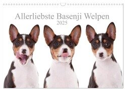 Allerliebste Basenji Welpen 2025 (Wandkalender 2025 DIN A3 quer), CALVENDO Monatskalender - Angelika Joswig