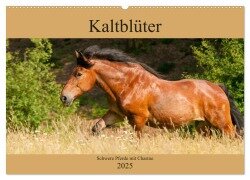 Kaltblüter - Schwere Pferde mit Charme (Wandkalender 2025 DIN A2 quer), CALVENDO Monatskalender - Meike Bölts