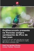 Orythocenosis presente na floresta sempre verdejante do Pico de San Juan - Abel Hernández-Muñoz, Zunay Fleites- Monzón