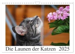 Die Launen der Katzen 2025 (Wandkalender 2025 DIN A4 quer), CALVENDO Monatskalender - Anna Kropf
