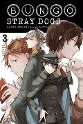 Bungo Stray Dogs, Vol. 3 (Light Novel): The Untold Origins of the Detective Agency - Kafka Asagiri, Sango Harukawa