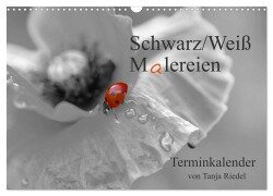 Schwarz-Weiß Malereien Terminkalender von Tanja Riedel für die Schweiz (Wandkalender 2025 DIN A3 quer), CALVENDO Monatskalender - Tanja Riedel