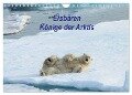 Eisbären - Könige der Arktis (Wandkalender 2024 DIN A4 quer), CALVENDO Monatskalender - Heike Springer