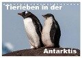 Tierleben in der Antarktis (Tischkalender 2024 DIN A5 quer), CALVENDO Monatskalender - Jürgen Wöhlke