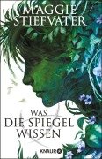 Cover-Bild zum Titel 'Was die Spiegel wissen' von 'Maggie Stiefvater'
