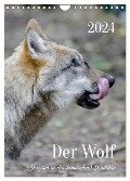 Der Wolf - Isegrim in den heimischen Wäldern - Kalender 2024 (Wandkalender 2024 DIN A4 hoch), CALVENDO Monatskalender - Angela Rohde