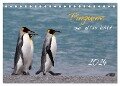Pinguine aus aller Welt (Tischkalender 2024 DIN A5 quer), CALVENDO Monatskalender - Brigitte Schlögl