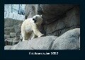 Eisbärenzauber 2022 Fotokalender DIN A4 - Tobias Becker