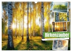 Birkenzauber (Wandkalender 2025 DIN A3 quer), CALVENDO Monatskalender - Steffen Gierok-Latniak