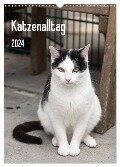 Katzenalltag 2024 (Wandkalender 2024 DIN A3 hoch), CALVENDO Monatskalender - Daniela Scholz