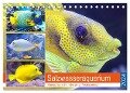 Salzwasseraquarium. Meeresfische im heimischen Wohnzimmer (Tischkalender 2024 DIN A5 quer), CALVENDO Monatskalender - Rose Hurley